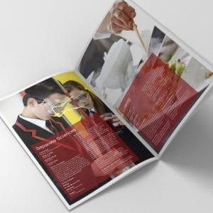 Arrow Vale Academy Curriculum Booklet | Portfolio | Blackberry Design